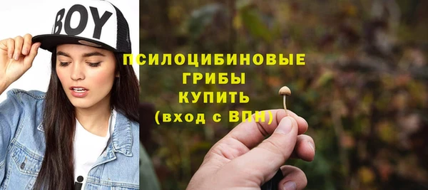 дмт Баксан
