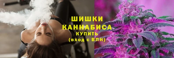 гашик Балахна