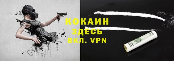 гашик Балахна