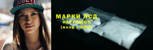 дмт Баксан