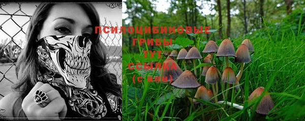 метадон Балабаново