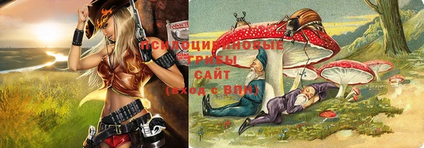 дмт Баксан